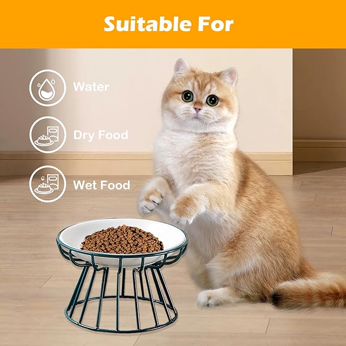 Ceramic Cat Bowls with Metal Stand,2 Pack Elevated Cat Bowl Raised Kitten Food&Water Feeding Shallow Dish for Indoor Cats,Puppies,Small Dogs