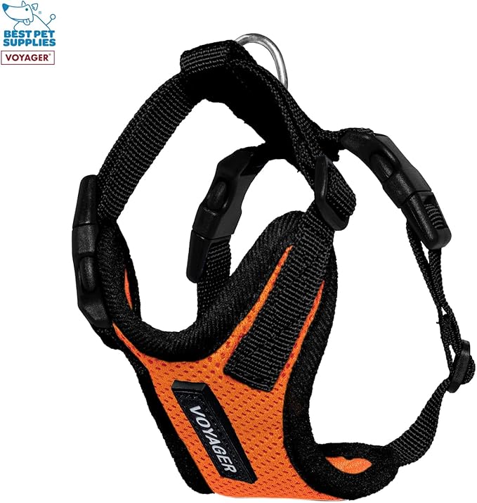 Best Pet Supplies Voyager Step-in Lock Pet Harness w Reflective Pet Leash Combo Set with Neoprene Handle 5ft - Supports Small, Medium and Large Breed Puppies/Cats - Orange/Black Trim, XXXS