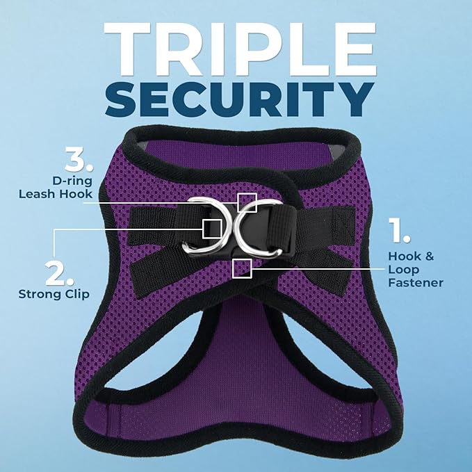 Best Pet Supplies Voyager Step-in Air All Weather Mesh Harness and Reflective Dog 5ft Leash Combo with Neoprene Handle, for Small, Medium and Large Breed Puppies - Set (Purple/Black Trim), Large