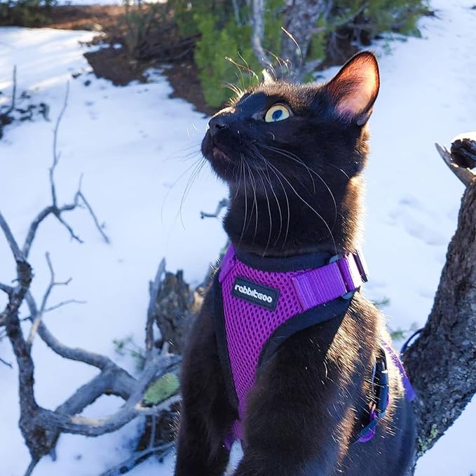 rabbitgoo Cat Harness and Leash Set, Escape Proof Vest Harness for Safe Outdoor Walks, Soft Breathable Adjustable Vest with Reflective Strips for Average to Large Cats, Purple, M