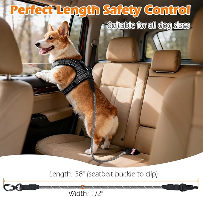 PetBonus Dog Seat Belt for Car, Durable Rope Dog Car Harness Seatbelt for Vehicle, Pet Tether Safety Restraint with Heavy Duty Buckle Hook Latch Lockable Clip for Small Medium Large Breeds (Grey)