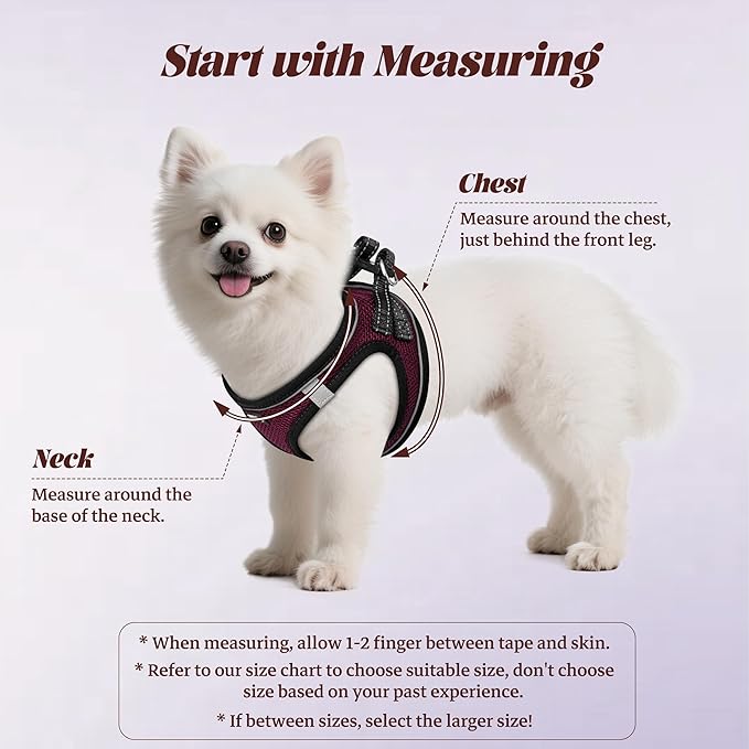 YIMEIS Dog Harness and Leash Set, No Pull Soft Mesh Pet Harness, Reflective Adjustable Puppy Vest for Small Medium Large Dogs, Cats (Grape Purple, Small (Pack of 1)