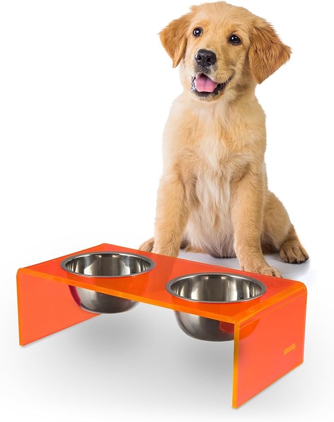 THE LICKER Store DBL2000E Keaton 5" Small/Medium Modern Acrylic Rectangular Elevated Pet Feeder with 20oz 2-Stainless Steel Bowls, Pink/Chrome