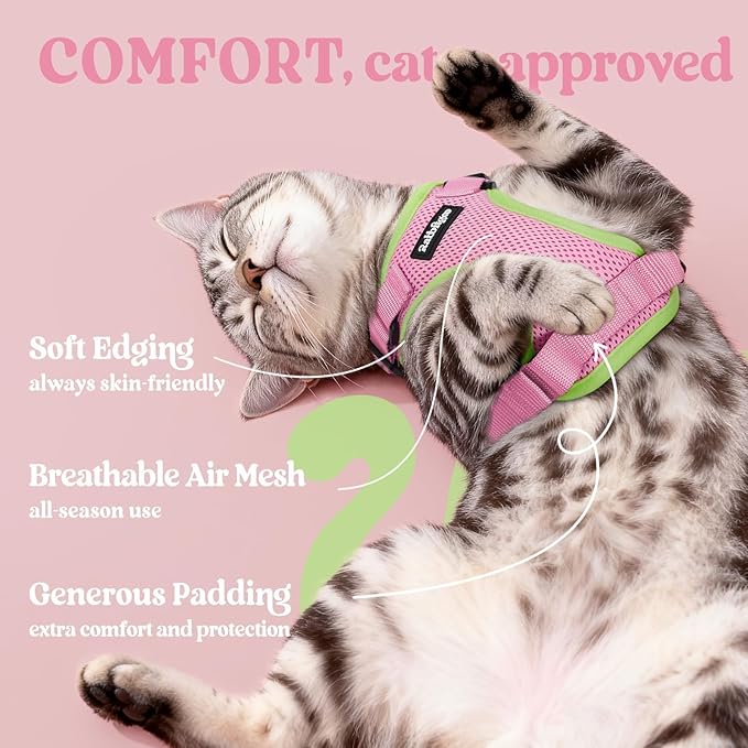 rabbitgoo Cat Harness and Leash Set, Escape Proof Vest Harness for Safe Outdoor Walks, Soft Breathable Adjustable Vest with Reflective Strips for Average to Large Cats, Pink & Light Green, M