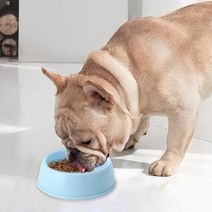 Heavy Duty Non-Slip Pet Bowl for Cats & Dogs - Thickened Spill-Proof Food & Water Dish with Wide Base, Tip-Proof Design for Pet Owners