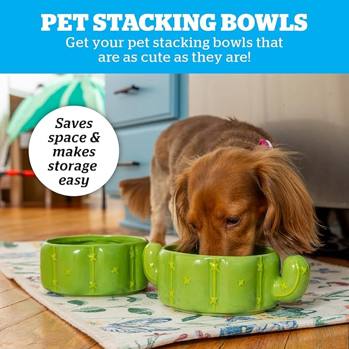 Cactus Pet Bowl, Cute Ceramic Food & Water Bowl Set for Cats & Dogs with Removable, Dishwasher-Safe Stainless Steel Insert, Set of 2