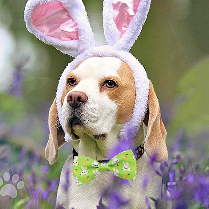 PET SHOW 10pcs Easter Day Small Dog Bow Ties for Medium Dogs Puppies Rabbit Cat Detachable Bowties with Elastic Bands Attach to Collar Pet Grooming Collar Attachment Accessories (for M/L)