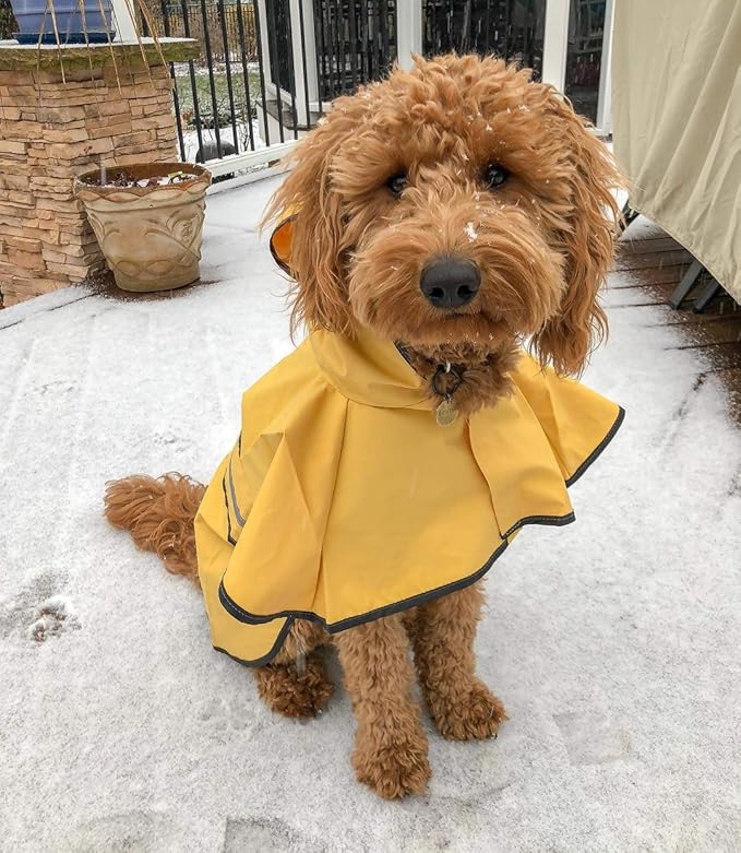 Fashion Pet Rainy Days Slicker Yellow Raincoat, X-Small (560YXS) (Pack of 2)