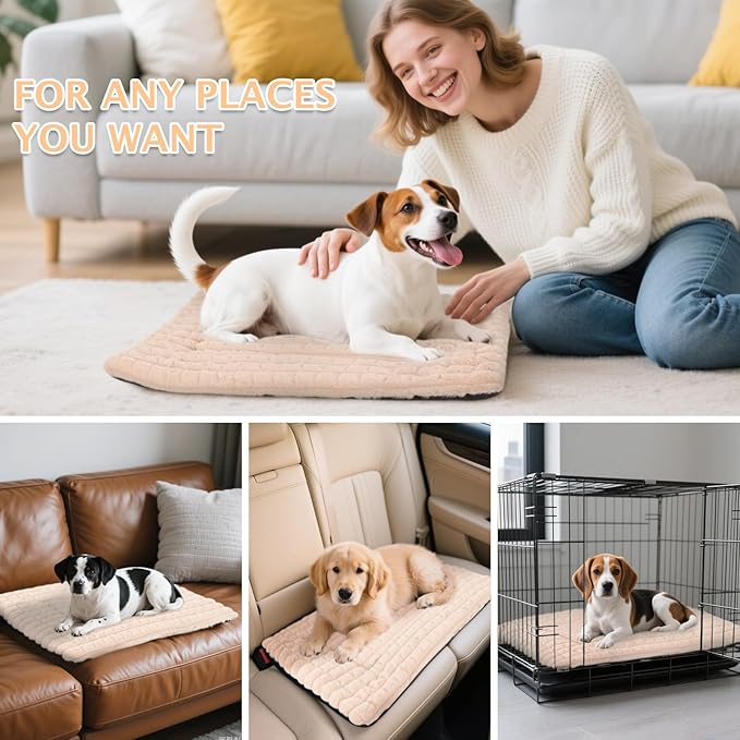 BVAGSS Dog Bed Washable Crate Mattress,Anti-Slip Memory Foam Soft Warm Pet Cushion for Small Medium Dogs, Calming Fluffy Sleeping Kennel Pad XH082 (24''x18'',Apricot)