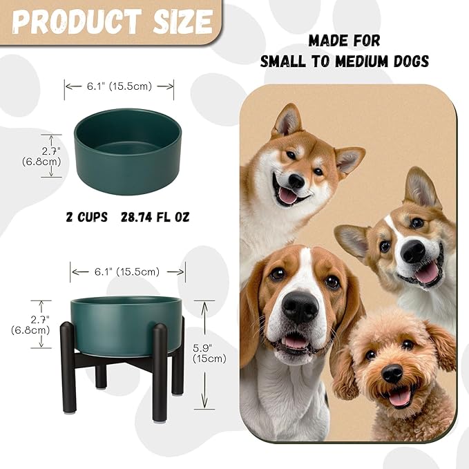 Raised Ceramic Dog Bowl, 6.1'' Modern Feeding Bowl with Non-Slip Stainless Steel Stand, Elevated Food or Water Dish for Small to Medium Dogs, 2 Cups (28.75 fl oz) - Green
