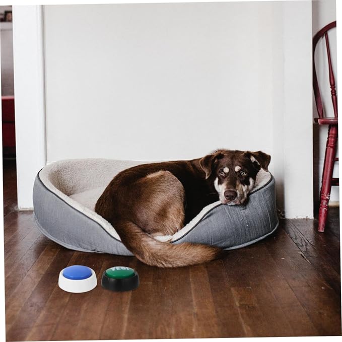 BESPORTBLE 4pcs Dog Talking Button Pet Communication Buttons Wear-Resistant Recording for Puppies Random Color