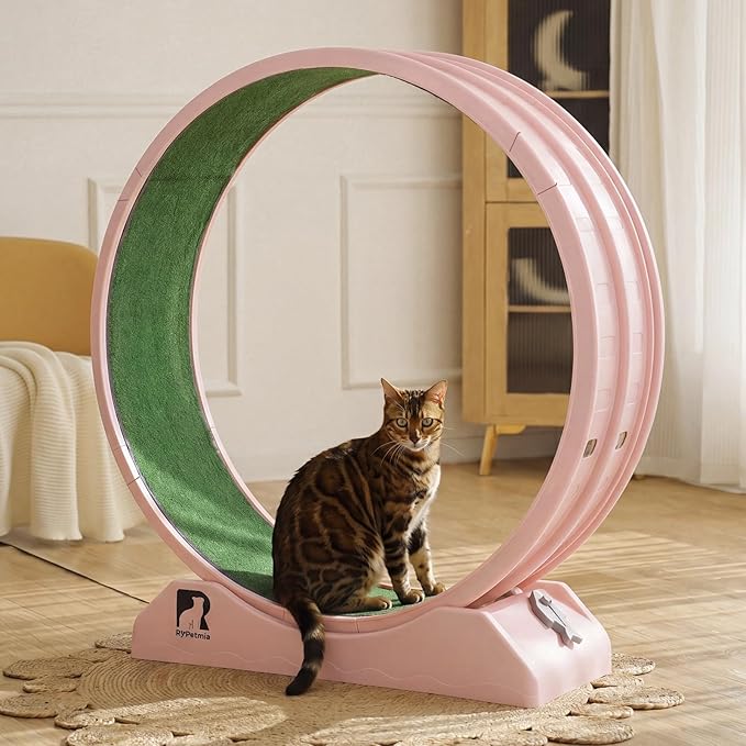 Cat Exercise Wheel, 31.5 Inch Indoor Treadmill for Cats with Carpeted Runway, Screw-Fixed Assembly for Easy Setup, Silent & Safe Fitness Equipment for Most Cats