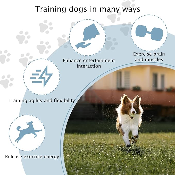 TNZMART Dog Agility Hurdle Cones Pet Jump Training Set Dog Agility Course Backyard Set Adjustable Obstacle Training Set (Mix, 6 Sets)