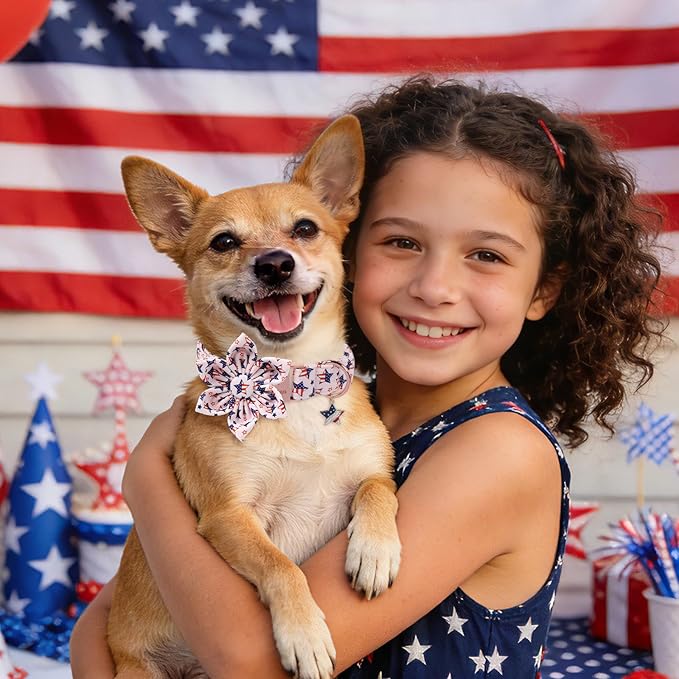 4th of July Independence Day Dog Collars with Flower, Pink Blue American Flag Star Dog Collar, DOGWONG Pink Girl American Flag Dog Collars for Small Dogs,XS