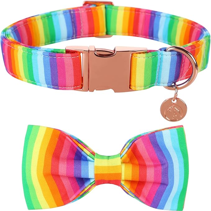 DOGWONG Rainbow Dog Collar with Pretty Bow Tie for LGBT Pride Month - Adjustable and Comfortable Collar for Large Medium Small Dog,M