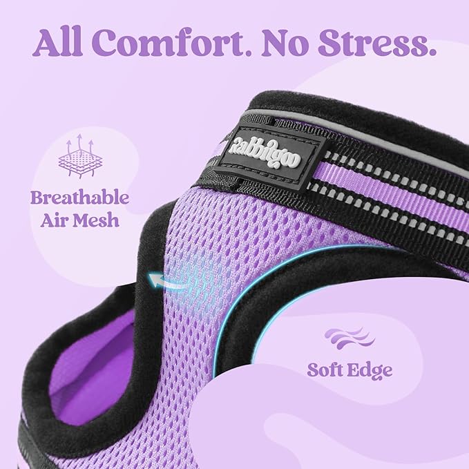rabbitgoo Cat Harness and Leash, Step-in Escape Proof Kitten Harness Set, Soft Comfortable Cat Vest, Easy to Wear and Adjust, Reflective for Safe Outdoor Walking, Light Purple, Medium