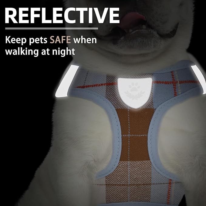 PUPTECK Adjustable Dog Harness Collar and Leash Set Step in No Pull Pet Harness for Small Medium Dogs Puppy and Cats Outdoor Walking Running, Soft Mesh Padded Reflective Vest Harnesses, BlueBrown XL