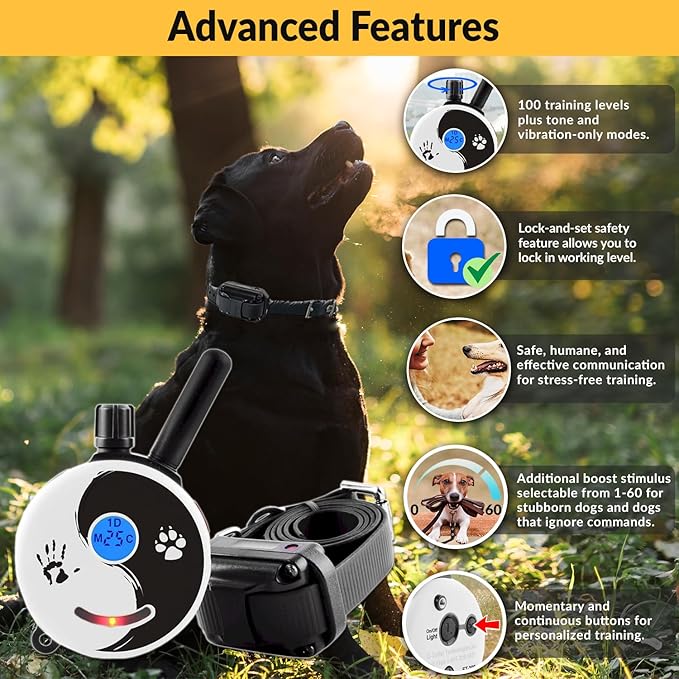 E-Collar Mini Educator ET-300 Remote Dog Training Collar – 1/2 Mile Range, Waterproof & Rechargeable, 100 Levels + Vibration + Tone + Light, For 1 Dog Small to Medium, Zen