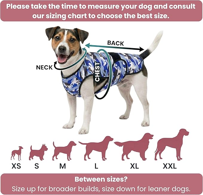 Dog Cooling Vest - 2-Layer Cooling with Soft Microfiber Fabric - Lightweight, Adjustable and Comfortable - UV Protection for Small to Large Dogs - Relief in Hot Weather (Green, Small)