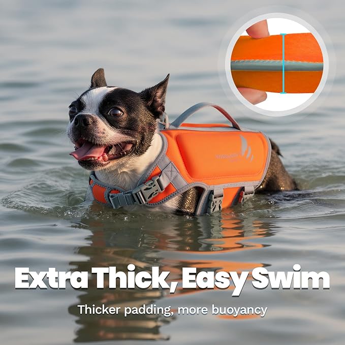 VIVAGLORY High Buoyancy Dog Life Vest, Swimming Vest with Handle, Dog Life Jacket for Swimming & Boating, Buoyancy for Puppy Doggy, S, Orange