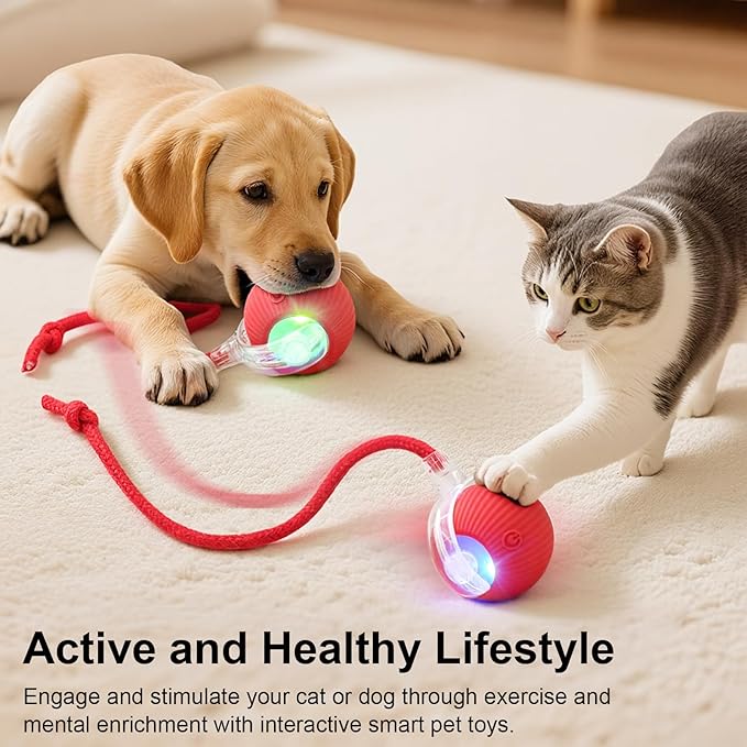 Smart Interactive Automatic Electric Rolling Moving Rechargeable Motion Activated Self Solo Play Electronic Stimulation Chase Teaser Ball Toy with Rope for Indoor Bored Adult Cat and Dog, Green