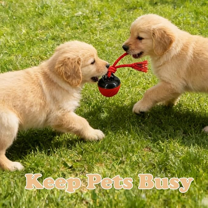 Power Tail 2.0 Automatic Moving Dog Ball - Interactive Dog Toy | Self-Rolling, Motion Activated Electric Pet Ball to Keep Dogs Busy & Relieve Boredom (Suitable for All Dog Breeds)