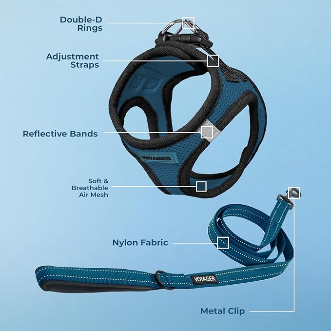 Best Pet Supplies Voyager Step-in Air All Weather Mesh Harness and Reflective Dog 5ft Leash Combo with Neoprene Handle, for Small, Medium and Large Breed Puppies - Set (Blue/Black Trim), XX-Small