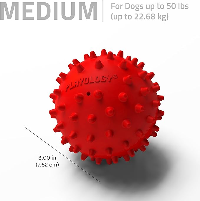 Playology Dog Toys | Squeaky Spiky Chew Ball for Medium Dogs | Beef Scented Dog Ball for Tough Chewers