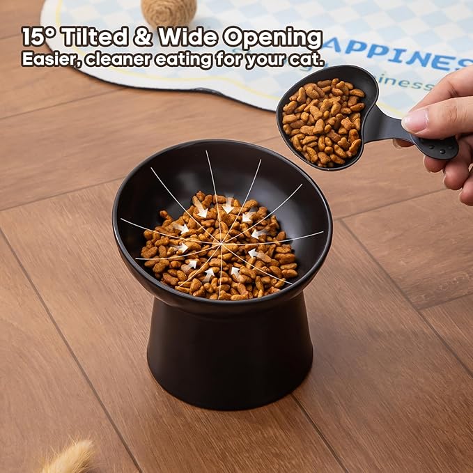 Ceramic Raised Cat Bowls - Elevated Tilted Cat Food and Water Bowls Set, Anti Vomiting and Protect Pets' Spines Pet Feeding Dish for Cats, Dishwasher Microwave Safe (2 x Bowl - Black)