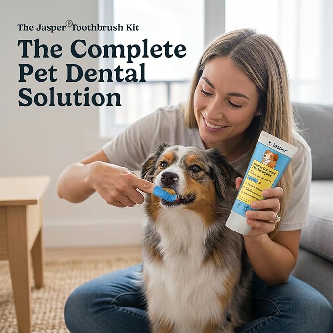 Jasper Dog Tooth Brushing Kit and Dog Toothpaste Kit 360 Dog Toothbrush Enzymatic Plaque Remover Improves Bad Breath Natural Pet Toothpaste Dog Toothbrush and Toothpaste 2 oz Chicken Flavor