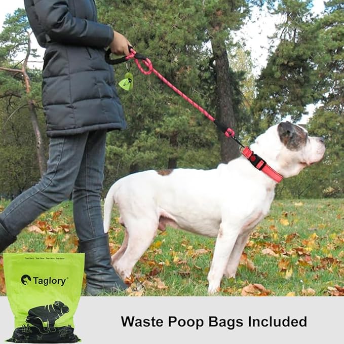 Taglory Rope Dog Leash 6 FT with Comfortable Padded Handle, Highly Reflective Threads Leash and Anti-Tangle Clip for Walking Medium Large Dogs, 1/2 inch, Pink