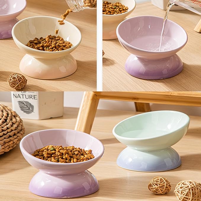Cute Ceramic Tilted Food Bowls for Indoor Cats Cat Bowl Elevated Cat Bowls Whisker Friendly 6.1 Inch Wide 15° Raised Kitten Supplies Dishwasher and Microwave Safe Purple Cats Water Bowl