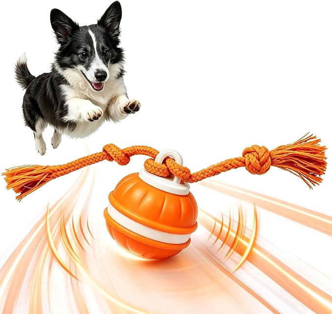 Interactive Dog Ball, 360° Self-Moving Dog Toy with LED Lights & Squeaker, Automatic Fetch Toy for Boredom & Training, USB-C Rechargeable Smart Pet Toy for Small Medium Dogs & Cats