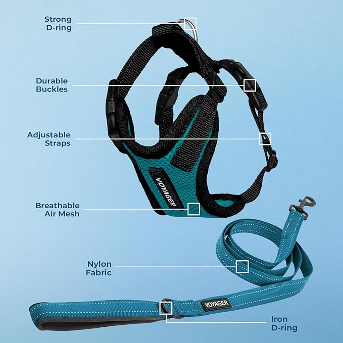 Best Pet Supplies Voyager Step-in Lock Pet Harness w Reflective Pet Leash Combo Set with Neoprene Handle 5ft - Supports Small, Medium and Large Breed Puppies/Cats - Turquoise/Black Trim Set, L