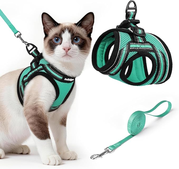 rabbitgoo Cat Harness and Leash, Step-in Escape Proof Kitten Harness Set, Soft Comfortable Cat Vest, Easy to Wear and Adjust, Reflective for Safe Outdoor Walking, Green, Large
