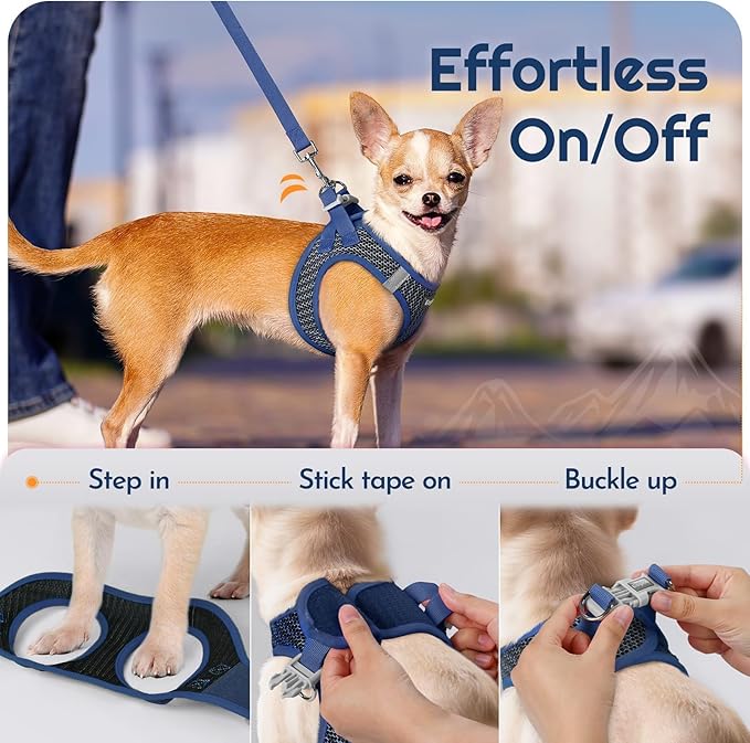 Eagloo Small Dog Harness and Leash Set, Step in Puppy Vest with Breathable Soft Mesh, Walking Reflective Pet Harness for Extra Small Dogs, Navy Blue, XXS
