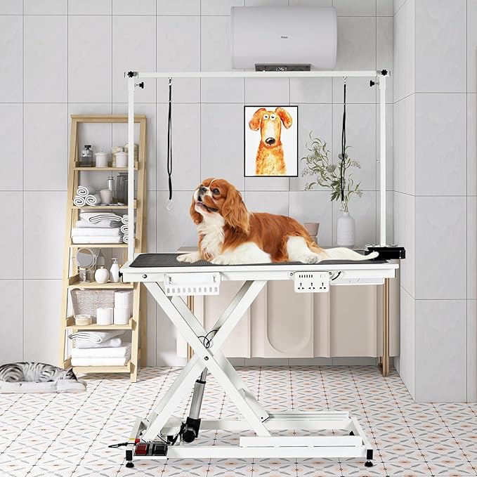 GarveeHome 50" Dog Grooming Table, Electric Hydraulic Grooming Table with Aluminium Overhead Arm, Anti Slip Tabletop, 6 USB Ports for Large Dogs At Home and Salon, Maximum Capacity Up to 300Lb, White