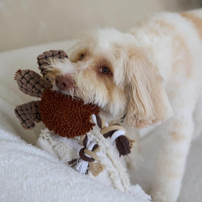 SPOT Gigglers Chicken Dog Toy with Giggle Sound, Textured Plush Tug Toy with Rope Legs, 12" for Small and Medium Dog Breeds