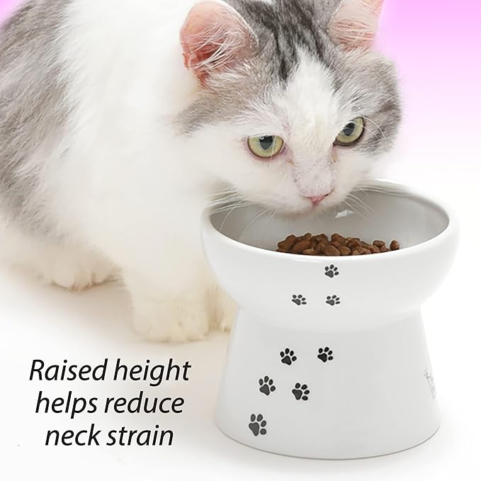 Necoichi Raised Cat Food Bowl – Ceramic Elevated Cat Bowl for Whisker & Neck Fatigue, Dishwasher Microwave Safe – Non-Slip & Anti Vomiting Ergonomic Design (Cats, Large) (Pack of 2)