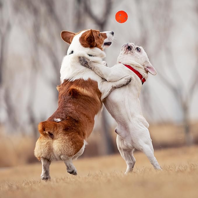 Dog Toy Balls for Small Dogs & Puppies, Chew & Chase Interactive 2” Soft Latex Balls, Durable Dogs Play Balls for Indoor/Outdoor (6 Pcs)