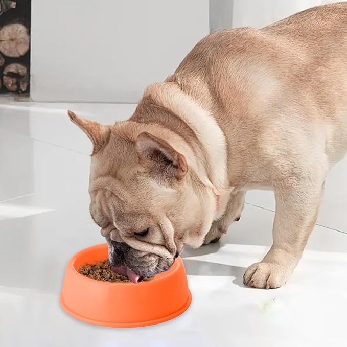 Heavy Duty Non-Slip Pet Bowl for Cats & Dogs - Thickened Spill-Proof Food & Water Dish with Wide Base, Tip-Proof Design for Pet Owners