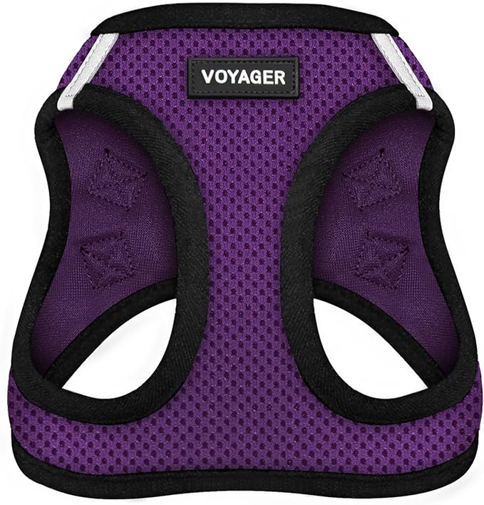 Best Pet Supplies Voyager Step-in Air Harness - All Weather Mesh, Reflective, No Pull Harness for Dogs, Cats - Secure with Hook & Loop Fastener, Buckle, Double D-Rings - Purple/Black Trim, XXXS