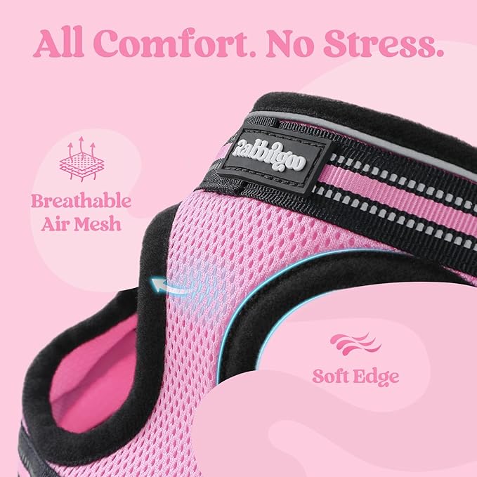 rabbitgoo Cat Harness and Leash, Step-in Escape Proof Kitten Harness Set, Soft Comfortable Cat Vest, Easy to Wear and Adjust, Reflective for Safe Outdoor Walking, Pink, Medium