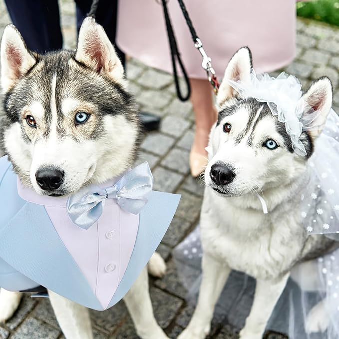 AOFITEE Dog Tuxedo for Large Dogs, Formal Dog Suit and Tie, Gentle Dogs Wedding Party Suit Bow Tie Shirt, Pet Wedding Outfit with Detachable Bowtie Collar for Christmas Halloween Dress Up