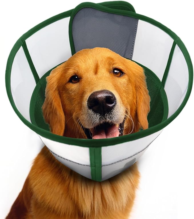 WinWeal Soft Dog Cone for Large Medium Dogs After Surgery – Adjustable Transparent Recovery Collar, Breathable Elizabethan E-Collar for Wound Healing & Anti-Licking (XL, Dark Green)