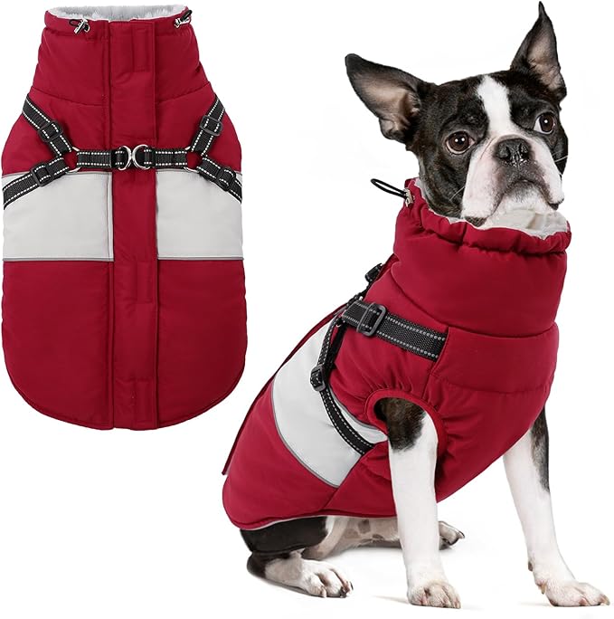 Small Dog Coat with Harness Built in, Warm Dog Jacket Winter with Zipper On Back, Waterproof Pet Snow Jacket Snowsuit Pet Sweater Clothes for Schnauzer, Yorkshire Terrier, Burgundy S