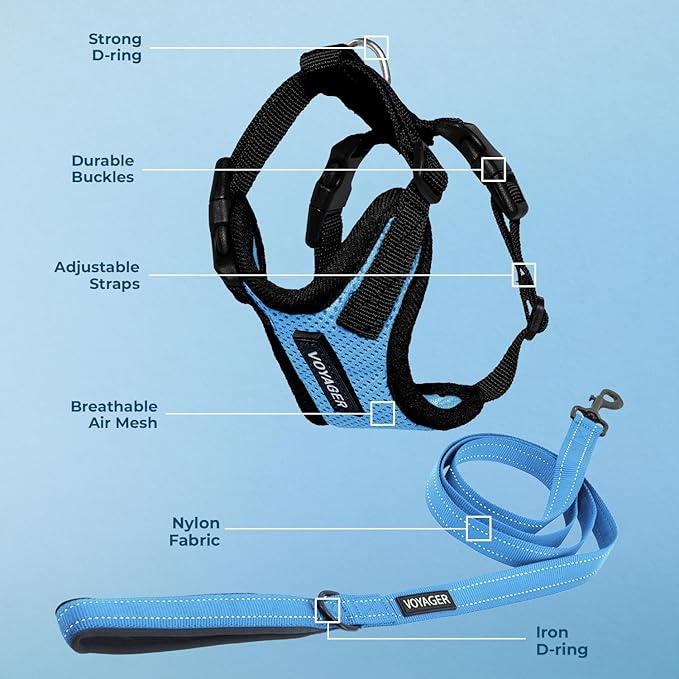 Best Pet Supplies Voyager Step-in Lock Pet Harness w Reflective Pet Leash Combo Set with Neoprene Handle 5ft - Supports Small, Medium and Large Breed Puppies/Cats - Baby Blue/Black Trim Set, M
