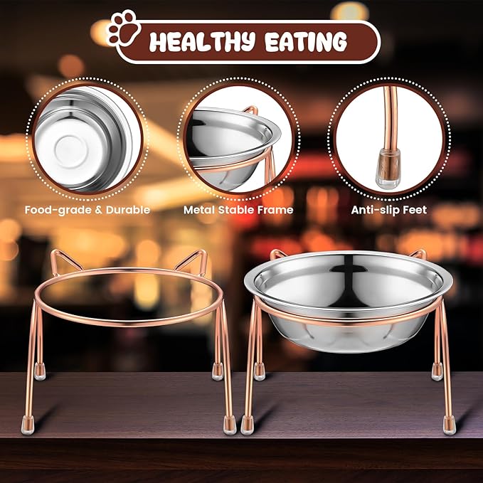 6 Sets Stainless Steel Elevated Cat Bowls 5.5 Inch Wide Raised Cat Bowls with Metal Stand Stress Free Elevated Shallow Water Dish Indoor Kitten Feeding Dish to Prevent Fatigue, 12 oz
