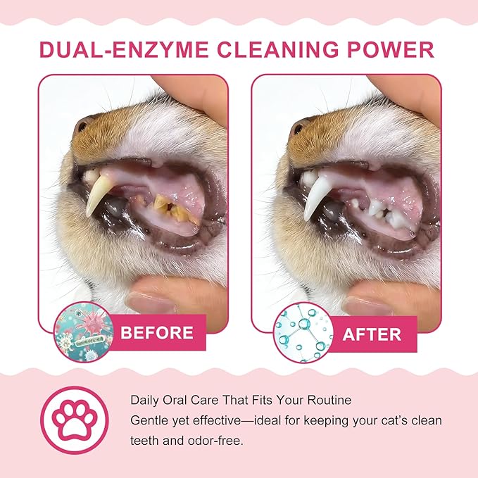 Dental Care Kit – Cat Toothbrush and Toothpaste – Enzymatic & No Added Flavor – Fights Plaque, Tartar & Bad Breath – Soft-Bristled Toothbrush & Finger Brush – For Sensitive Cats & Kittens, 1.06 oz