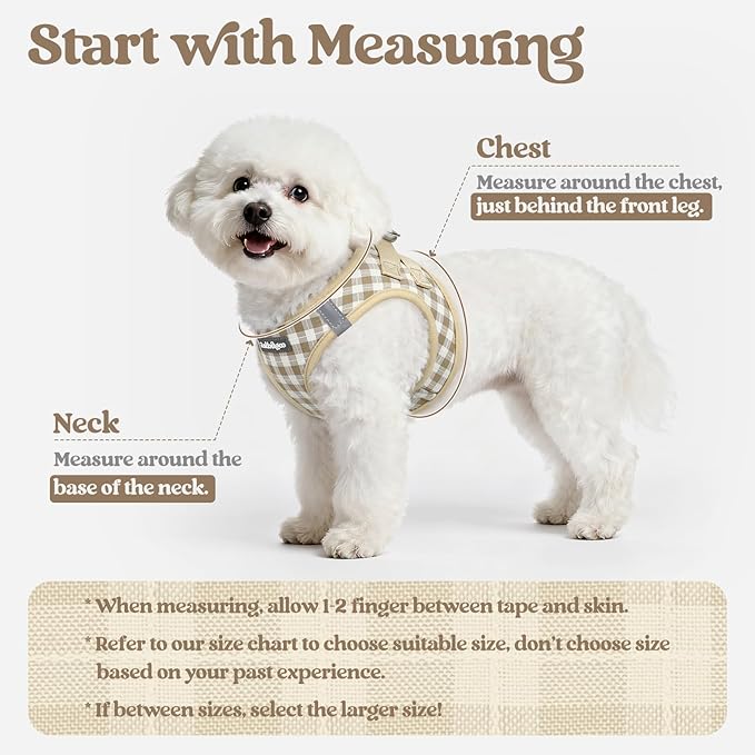 rabbitgoo Dog Harness Small Sized and Leash Set, Step in Soft Light Puppy Vest, Breathable Mesh Pet Harness, Reflective for Safe Easy Walking, Beige Plaid S